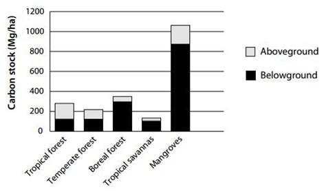 Total Ecosystem Carbon Pools Aboveground And Belowground For Major