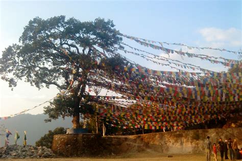 Yadhu's Blog @: Buddhism in Nepal