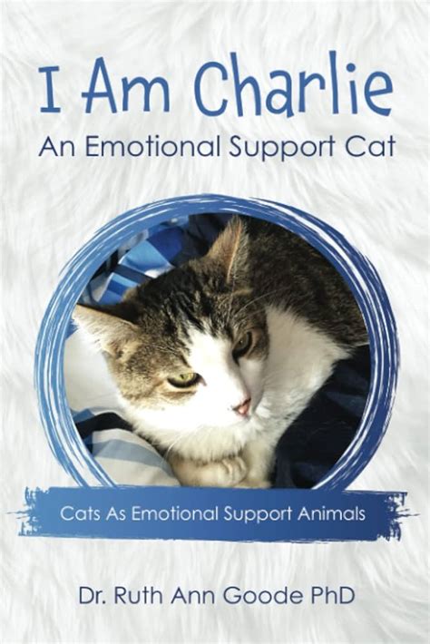 Can You Have An Emotional Support Cat? All Your Questions Answered!