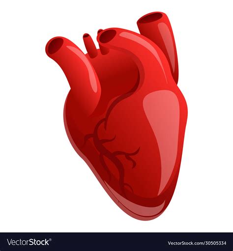 Cardiac Human Heart Icon Cartoon Style Royalty Free Vector