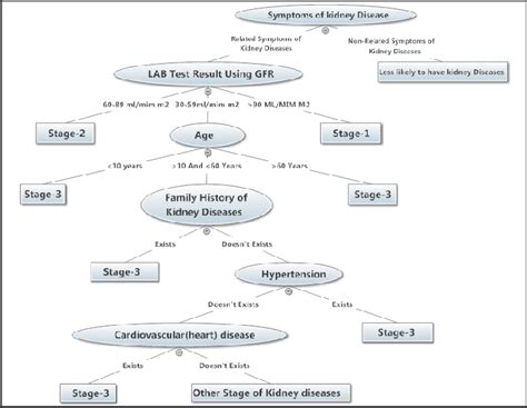 Decision Trees For Diagnosis And Treatment Of Kidney Diseases