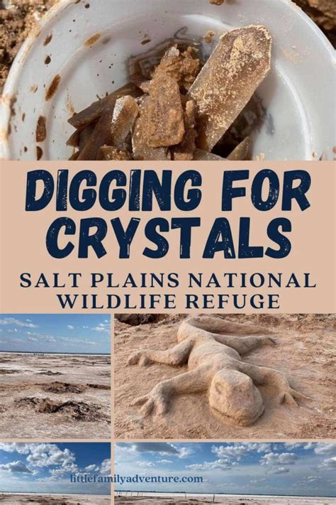 Your Exploration Guide for Crystal Digging at Salt Plains National Wildlife Refuge