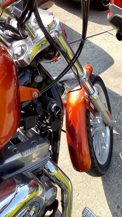 Rev Up The Highline Uncovering The Secrets Of The 2003 Harley Sportster 883
