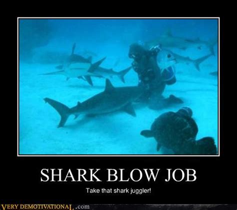 SHARK BJ Very Demotivational Demotivational Posters Very