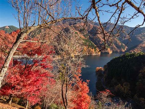 奥多摩湖の紅葉 4 Photo散歩