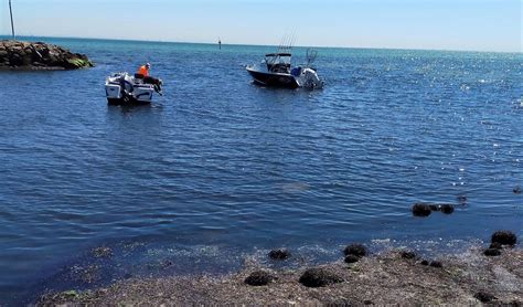 Clifton Springs Boat Harbour: Dredging & Upgrades