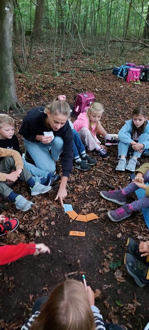 Lernen Im Wald Volksschule Der Franziskanerinnen In Attnang Puchheim