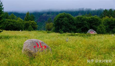 漠河北极村旅游，找北之旅，来体验夏至时节最有特色的北极光节 知乎