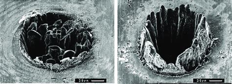 Photographies De Microscopi Electroniqu A Balayage De Trous Obtenus