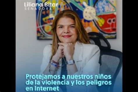 Senadora Liliana Bitar Radica Proyecto De Ley Que Busca A Proteger A