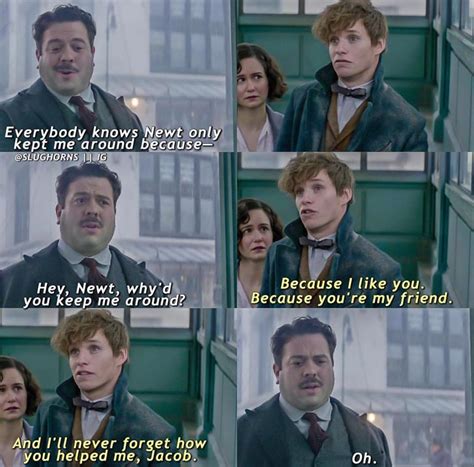 fantastic beasts    find  harry potter fantastic beasts
