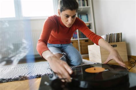 The Ultimate Guide To Building A DIY Ultrasonic Vinyl Record Cleaner - Savvy Tune