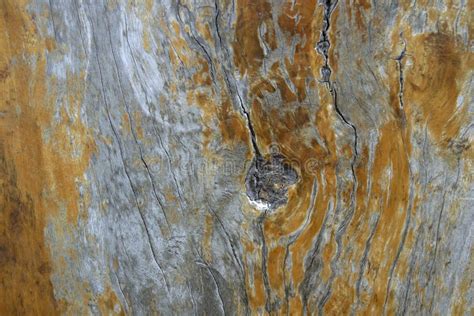 Textura De Madera Gruesa Utilizada Como Fondo Imagen De Archivo