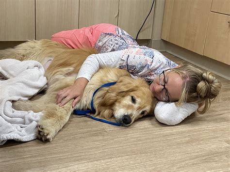 Pet Euthanasia | Compassionate Pet Euthanization in MA & RI