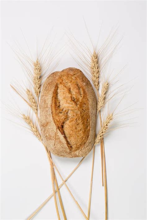 Tasty Fresh Black and White Bread with Wheat and Flour on a White ...