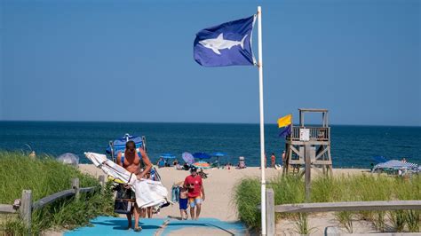 Ten Foot Over 500 Ound Great White Shark Pings Off Of Coast Of Florida