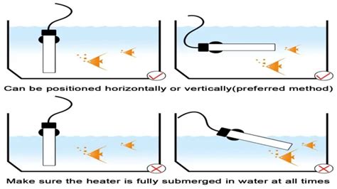 How to Put Aquarium Heater in Fish Tank: Step-by-Step Guide