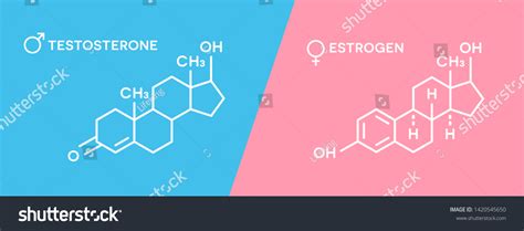 2 342 Male Sex Hormone Images Stock Photos Vectors Shutterstock