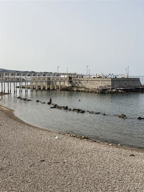 Civitavecchia Alga Tossica Divieto Di Balneazione Al Pirgo