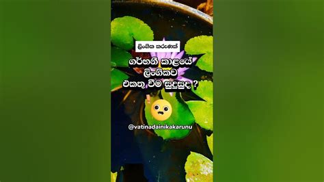 දන්නවද වෙන දේ 😮 Shortvideo Shorts Education Youtube