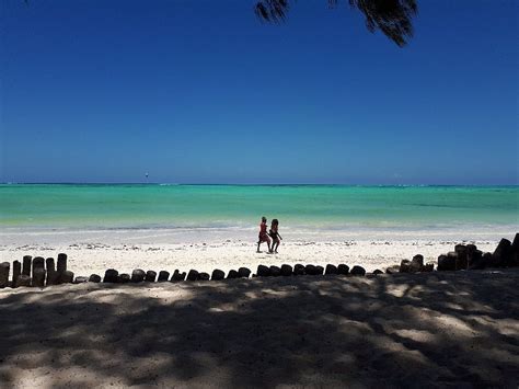 THE 10 BEST Things to Do in Zanzibar Island (2025)