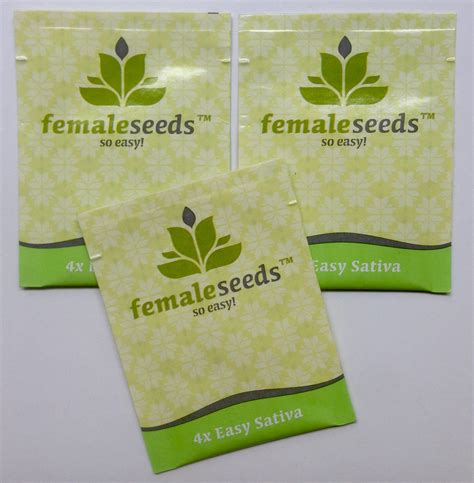 Easy Sativa Femenised Cannabis Seeds from Female Seeds in Green Parrot