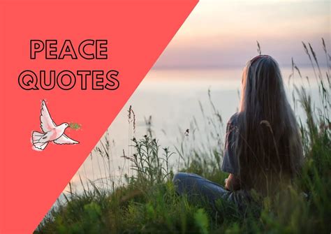 100 Best Peace Quotes Shayari Baba