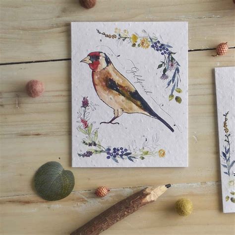 Goldfinch Eco Friendly Greetings Cards Hannah Marchant