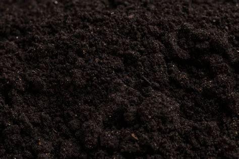 Black Soil Images Search Images On Everypixel