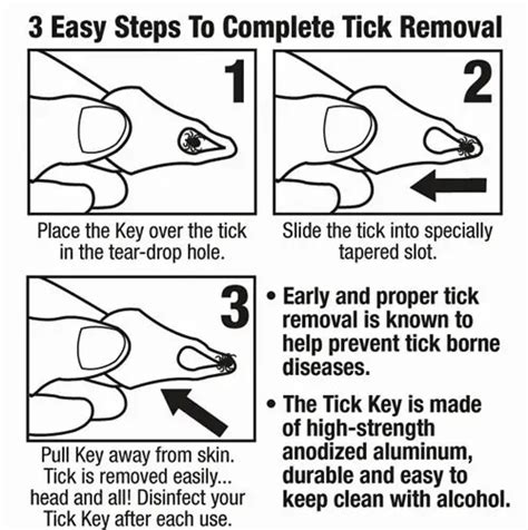 Best Tick Removal Tool Available Today! - BestofCapeCod.com