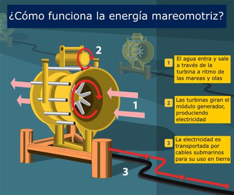 ¿Cómo funciona la Energía Mareomotriz? Paso a Paso