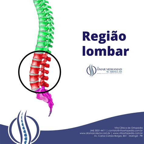 Onde É A Lombar No Corpo Humano - região lombar | Dr. Omar
