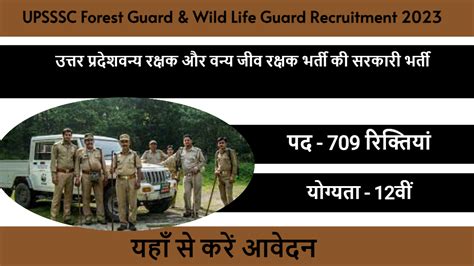 Upsssc Forest Guard Recruitment 2023 सरकारी भर्ती 2023