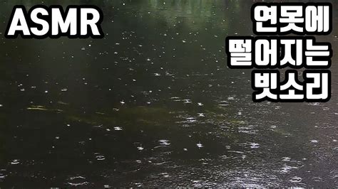 연못에 내리는 빗소리∥rain Sounds∥asmr∥머리를 맑게 하는 소리∥백색소음∥white Noise∥집중력향상∥불면증해소∥