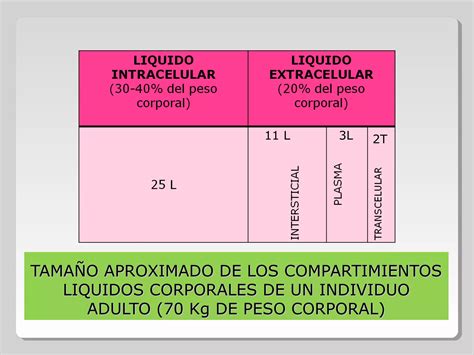 Cuidados De Enfermeria Equilibrio Hidroelectrol Tico Y Acidob Sico Ppt