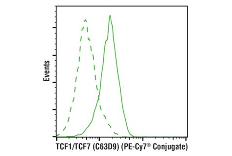 Tcf Tcf C D Rabbit Mab Pe Cy Conjugate Cell Signaling