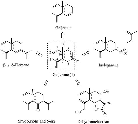 Molecules Free Full Text Construction Of The 12