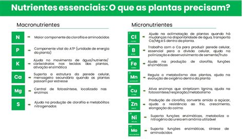 Os Crit Rios De Essencialidade Dos Nutrientes Precisam Ser Redefinidos