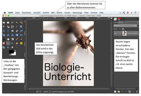 Grafiken Erstellen Biologie Unterricht Im Digitalen Zeitalter