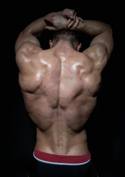 Muscled Male Model Showing His Back Stock Image Everypixel