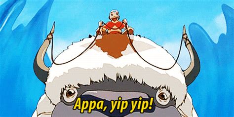 Appa-yip-yip GIFs - Get the best GIF on GIPHY