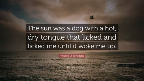Antonio Di Benedetto Quote: “The sun was a dog with a hot, dry tongue