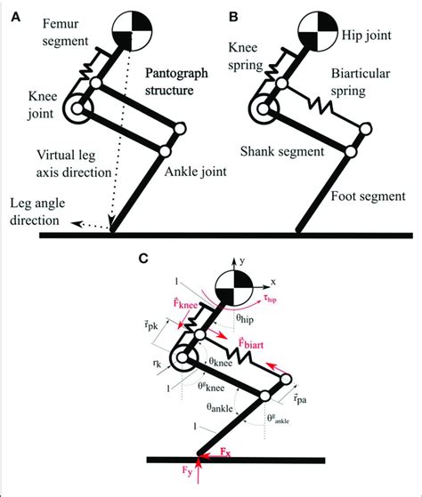 A Pantograph Leg With One Spring Around The Knee Joint And A Rigid