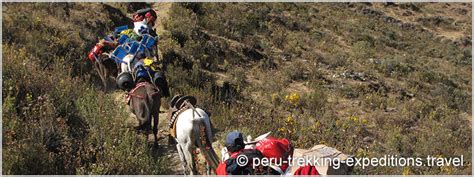 Peru Trekking Santa Cruz And Climbing Nevado Pisco M