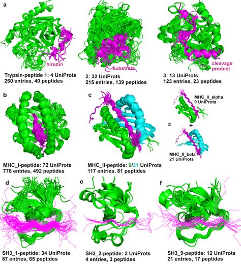 Peptide Binding Pfam Domains In Protcid A Three Major