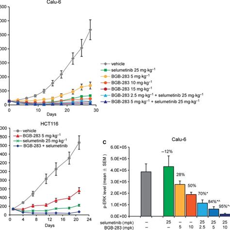 Combination Of Bgb And Selumetinib Exhibited Enhanced Antitumor