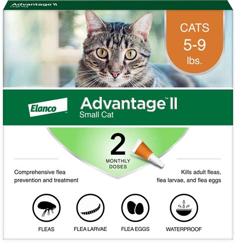 Cat Flea Treatment For Carpets - Carpet Vidalondon