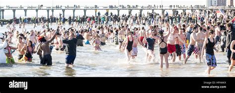 Brooklyn New York Usa St Jan The Coney Island Polar Bear