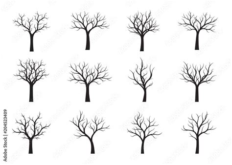 Set Of Black Naked Trees Vector Illustration Stock Vector Adobe Stock