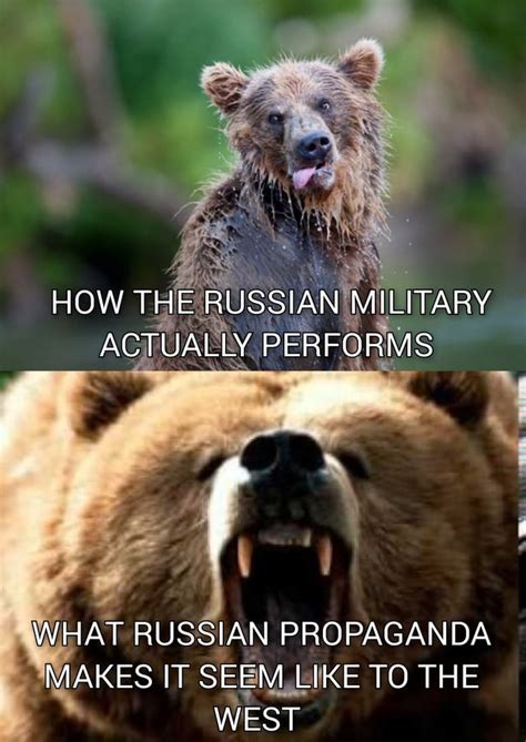 lazerpig   pngtuber rlazerpig